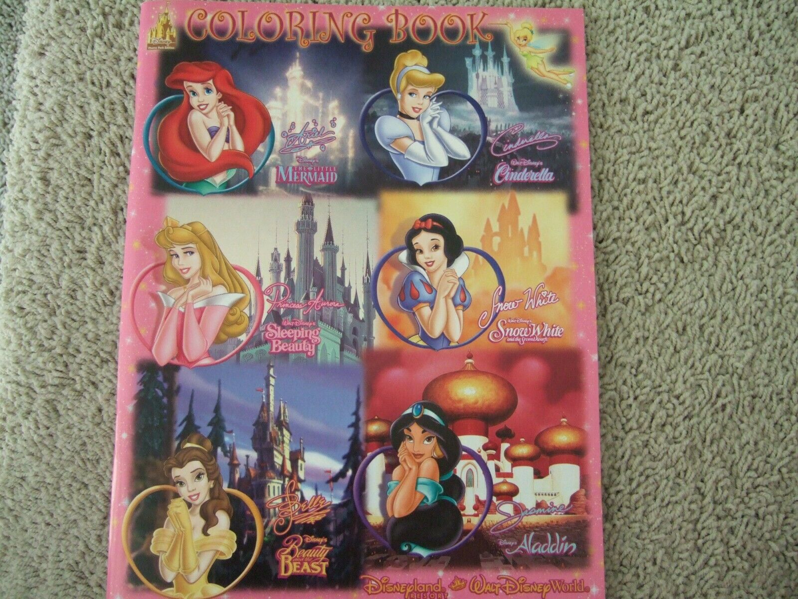 Walt Disney Theme Park Edition Disney's Princess Coloring Book Disneyland New