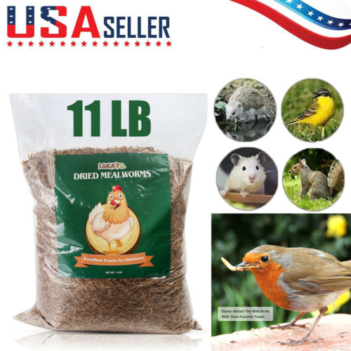 11 Lbs Bulk Dried Mealworms For Wild Birds Food Blue Bird Chickens Hen Treats