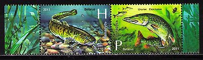 Belarus 2011 Sc780-81 $ 2.85  Mi870-71 3.4 Mieu 2v  Mnh  Fishes.