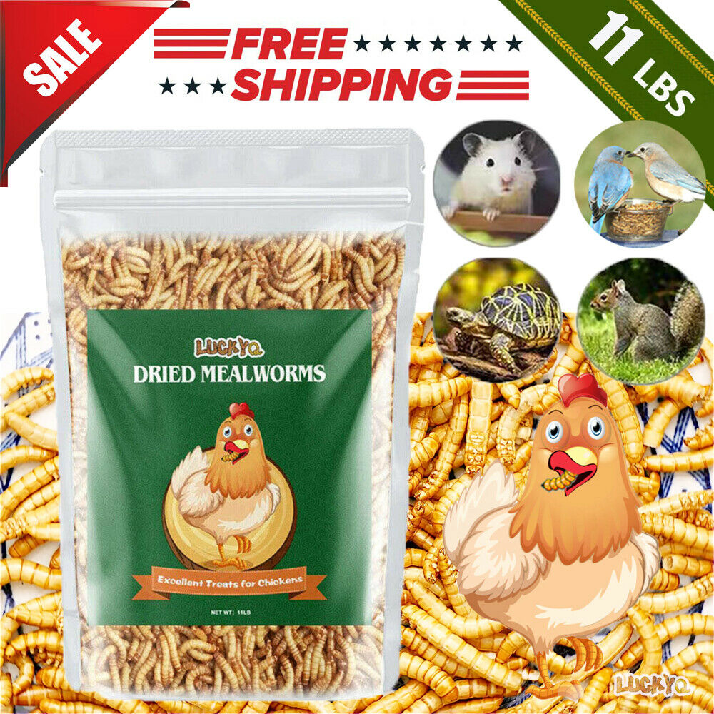 Dried Mealworms Bulk 11 Lbs For Chickens Birds Bluebirds Hamsters Hen Meal Worms
